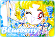 blueberry level banner